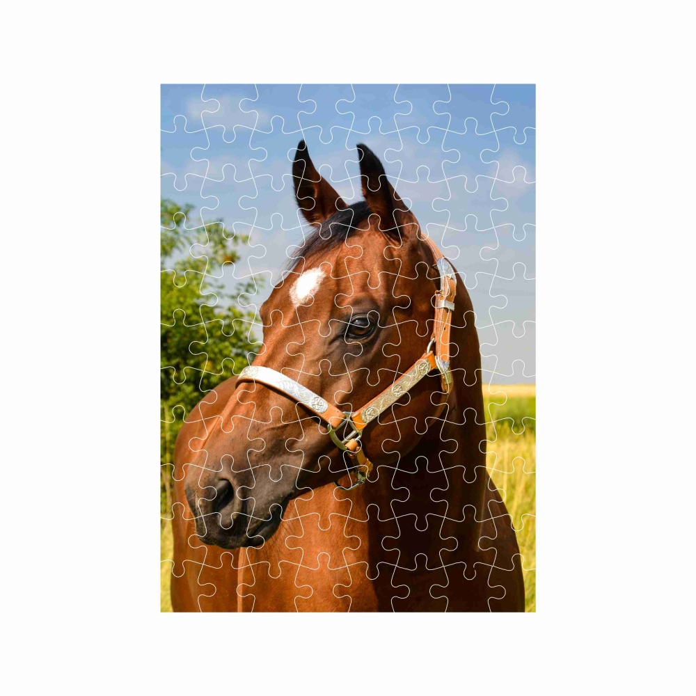 Puzzle 27x19,5cm (88 dielikov) s obrázkom - hnedý kôň