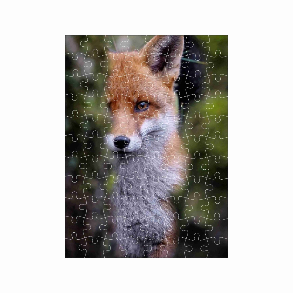 Puzzle 27x19,5cm (88 dielikov) s obrázkom - líška