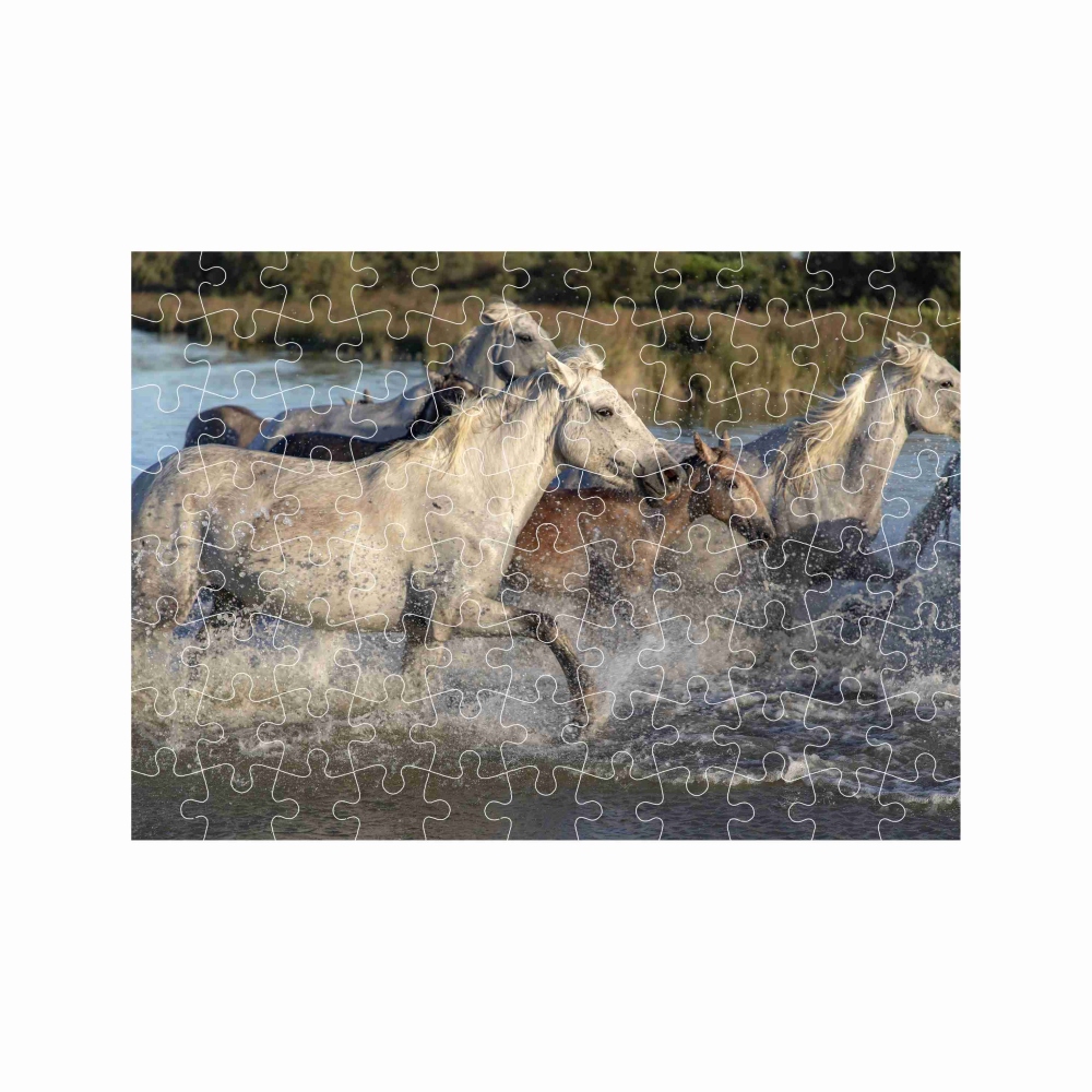Puzzle 27x19,5cm (88 dielikov) s obrázkom - stádo koní
