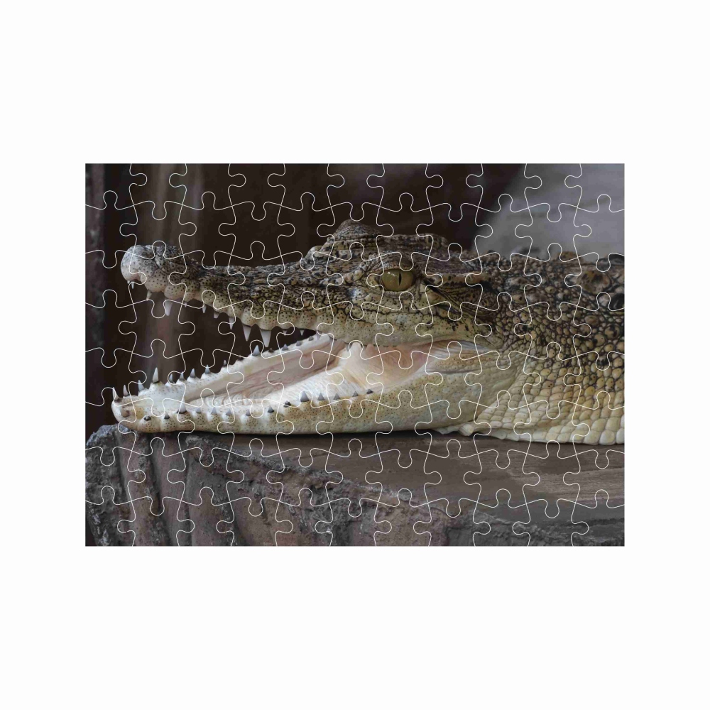 Puzzle 27x19,5cm (88 dielikov) s obrázkom - usmievavý krokodíl