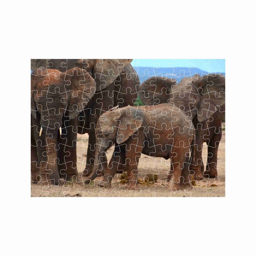 Puzzle A4 29x20cm (120 dielikov) s obrázkom - slonia rodina