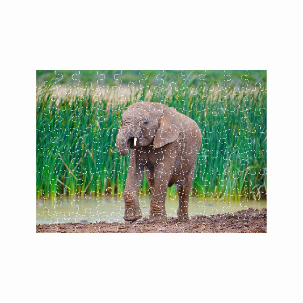 Puzzle A4 29x20cm (120 dielikov) s obrázkom - sloník