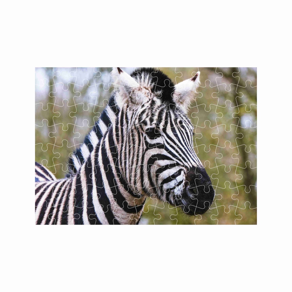 Puzzle A4 29x20cm (120 dielikov) s obrázkom - zebra
