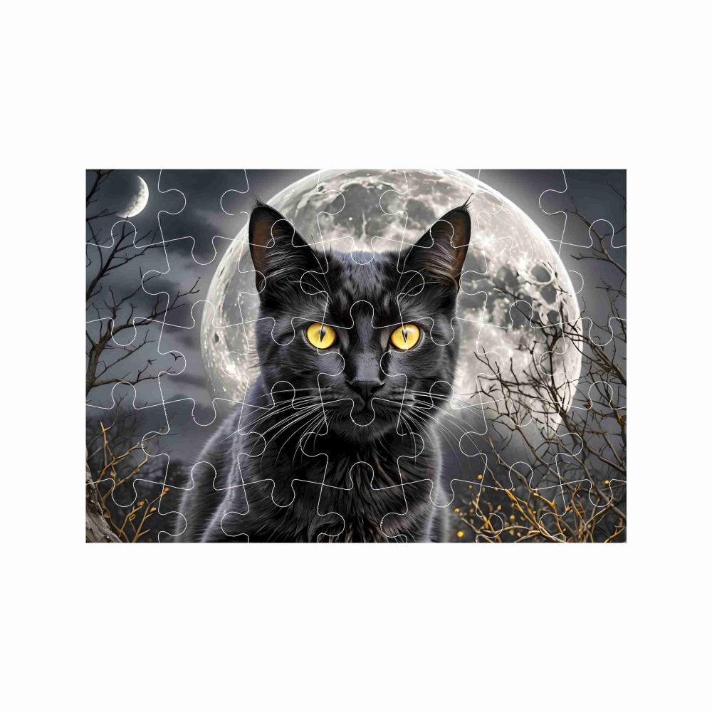 Puzzle A4 29x20cm (40 dielikov) s obrázkom - čierna mačka