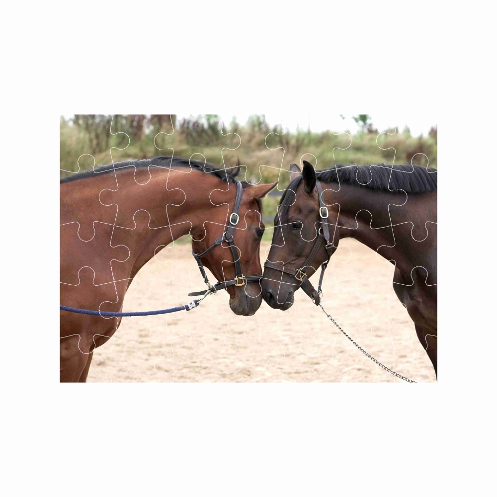 Puzzle A4 29x20cm (40 dielikov) s obrázkom - konský pozdrav