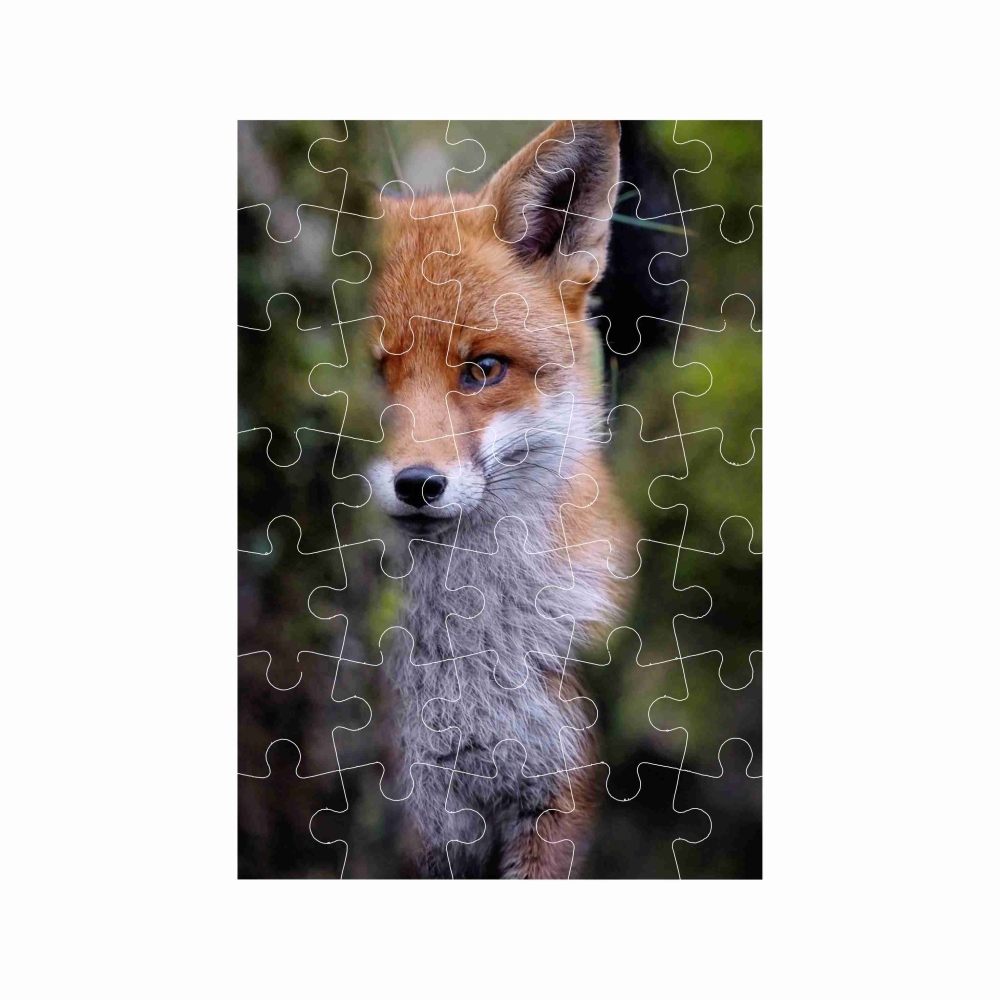 Puzzle A4 29x20cm (40 dielikov) s obrázkom - líška