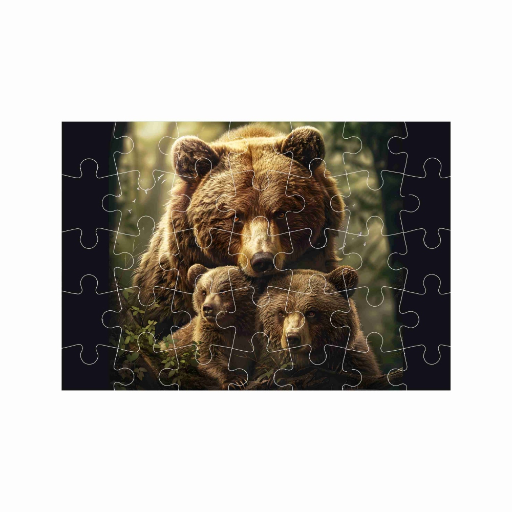 Puzzle A4 29x20cm (40 dielikov) s obrázkom - medvedica s mláďatami