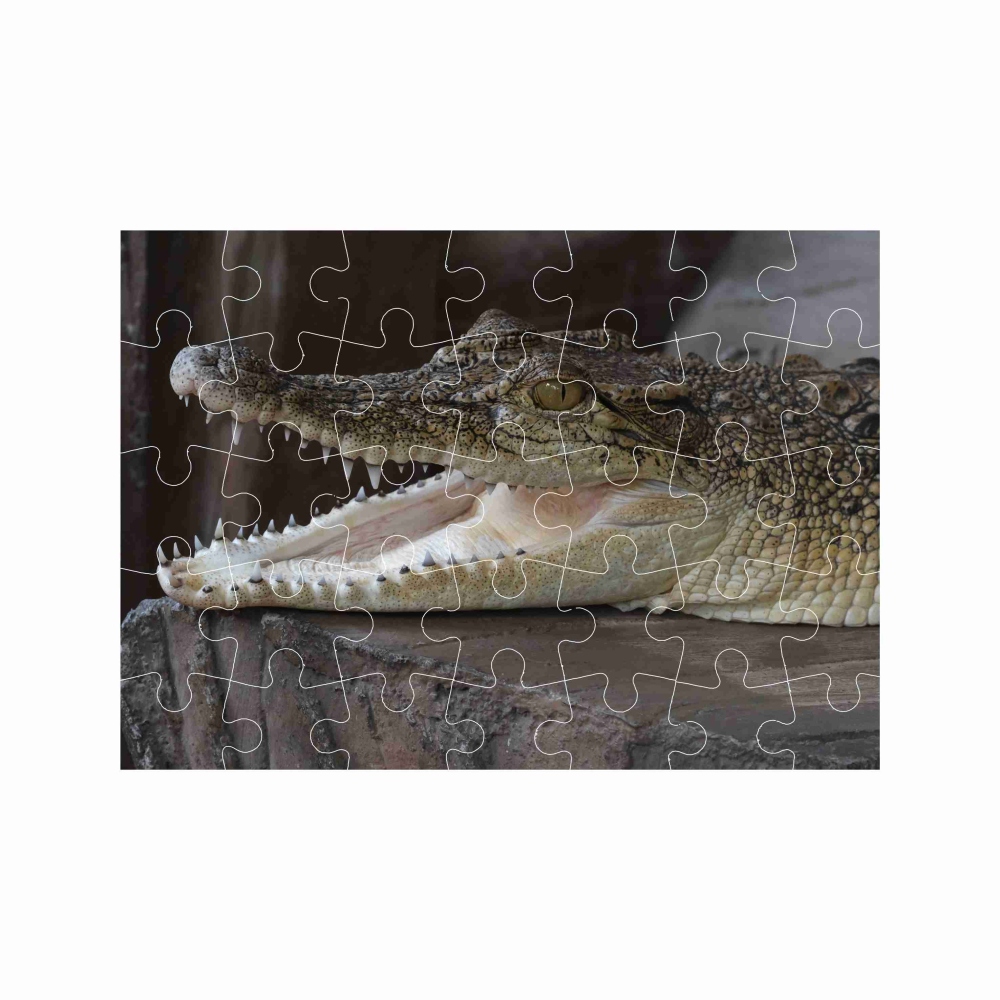 Puzzle A4 29x20cm (40 dielikov) s obrázkom - usmievavý krokodíl