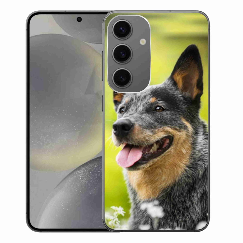 Gélový kryt mmCase na Samsung Galaxy S24+ - austrálsky pastiersky pes