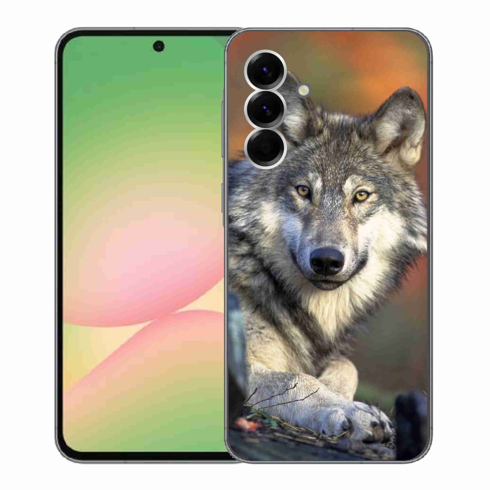 Gélový kryt mmCase na Samsung Galaxy A56 5G - vlk