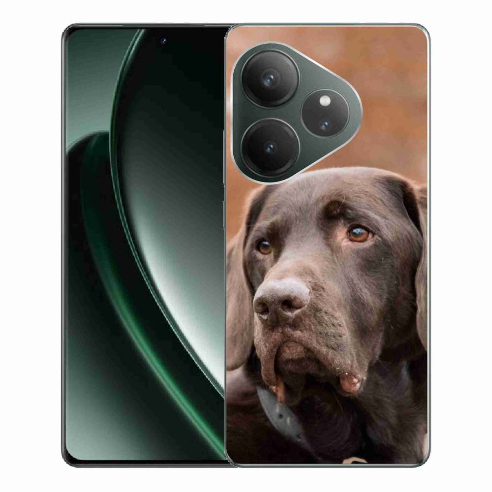 Gélový obal mmCase na Realme GT 6 5G/GT 6T 5G - hnedý labrador