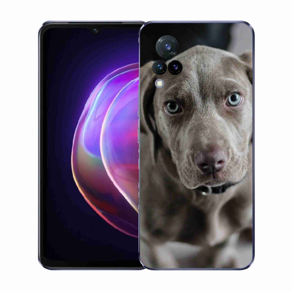 Gélový kryt mmCase na Vivo V21 4G/5G - weimarský stavač