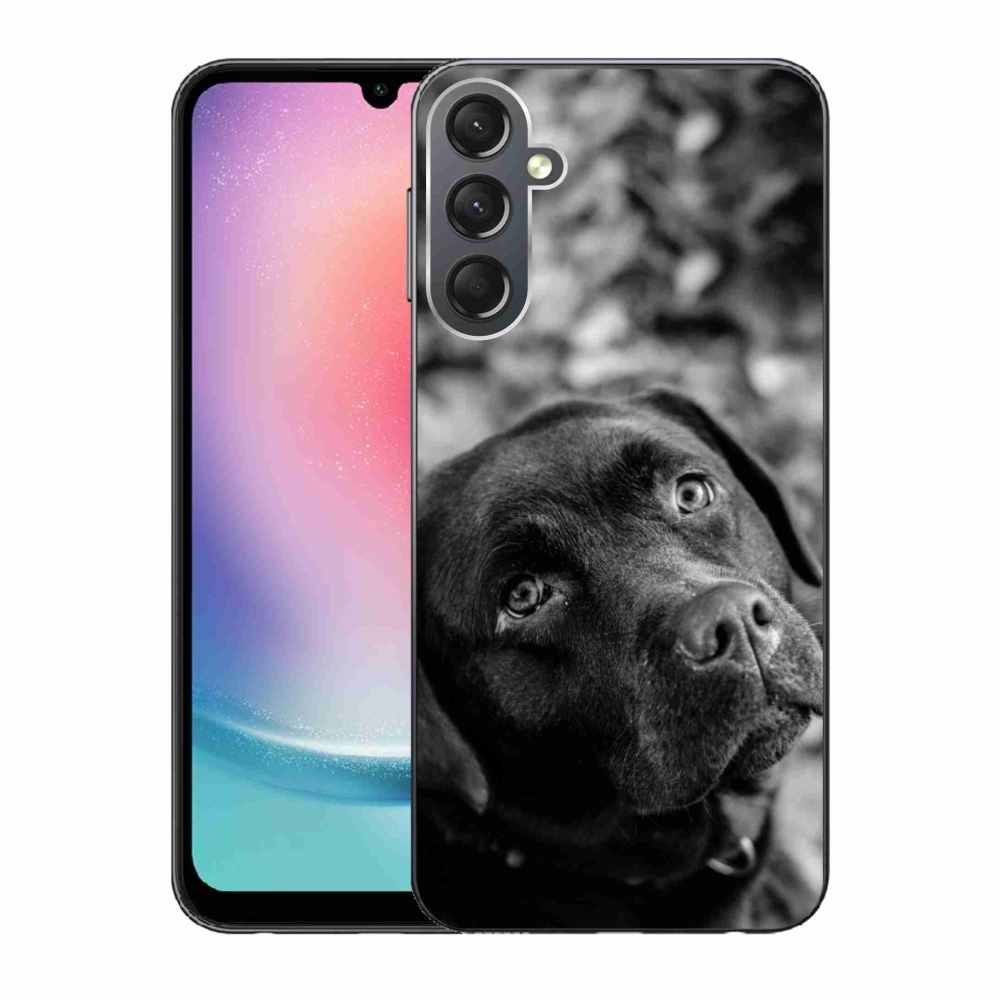 Gélový obal mmCase na Samsung Galaxy A24 - labrador