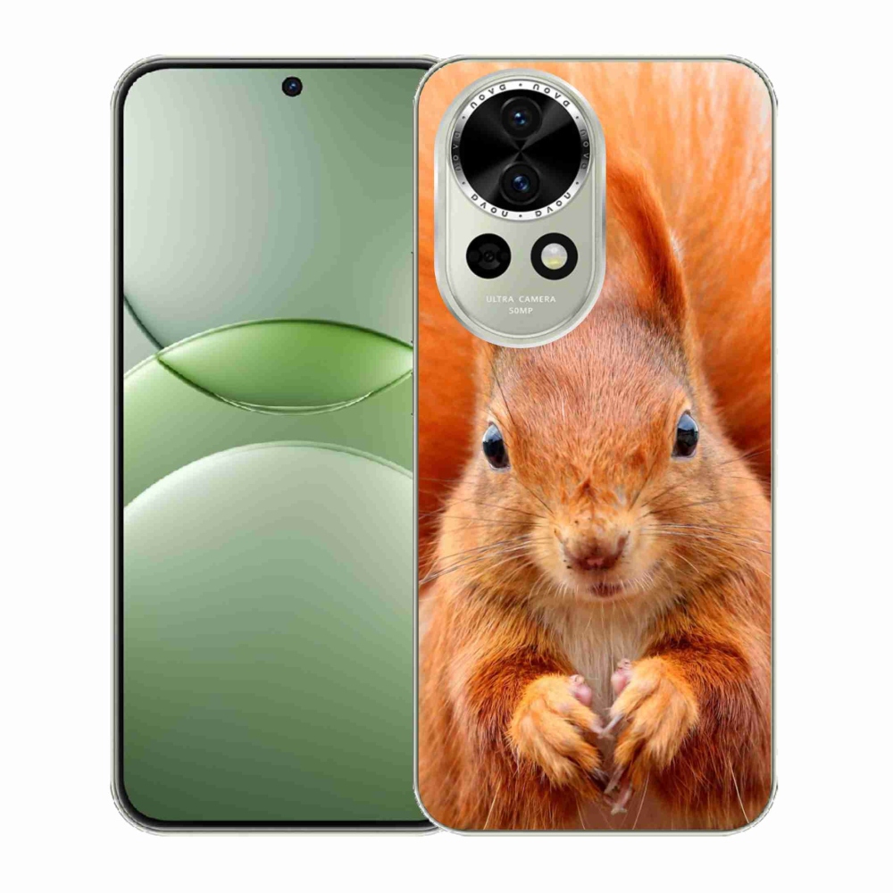 Gélový kryt mmCase na Huawei Nova 13 5G - veverička