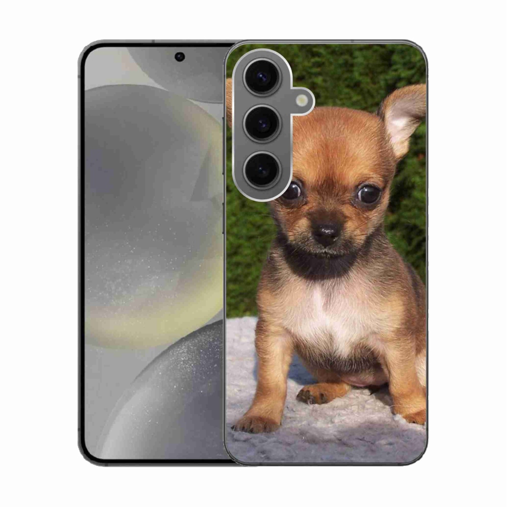 Gélový obal mmCase na Samsung Galaxy S24 - čivava 3