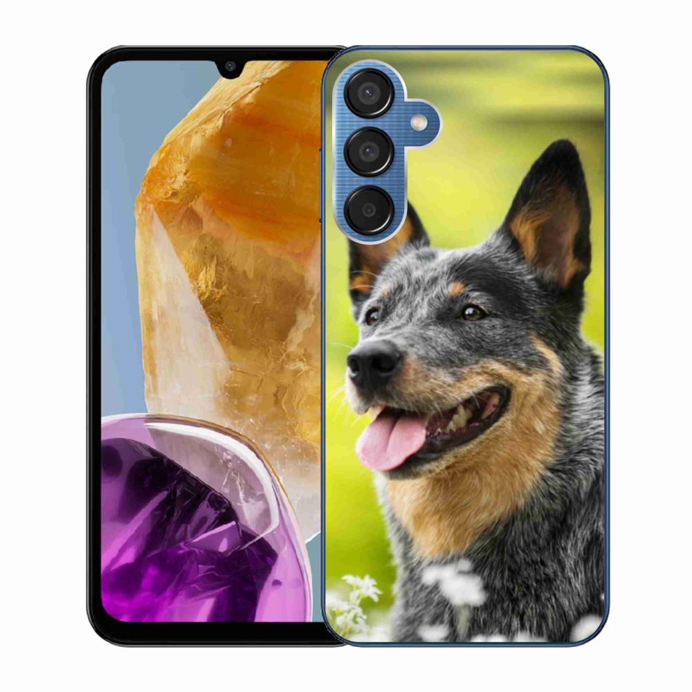 Gélový kryt mmCase na Samsung Galaxy M15 5G - austrálsky pastiersky pes