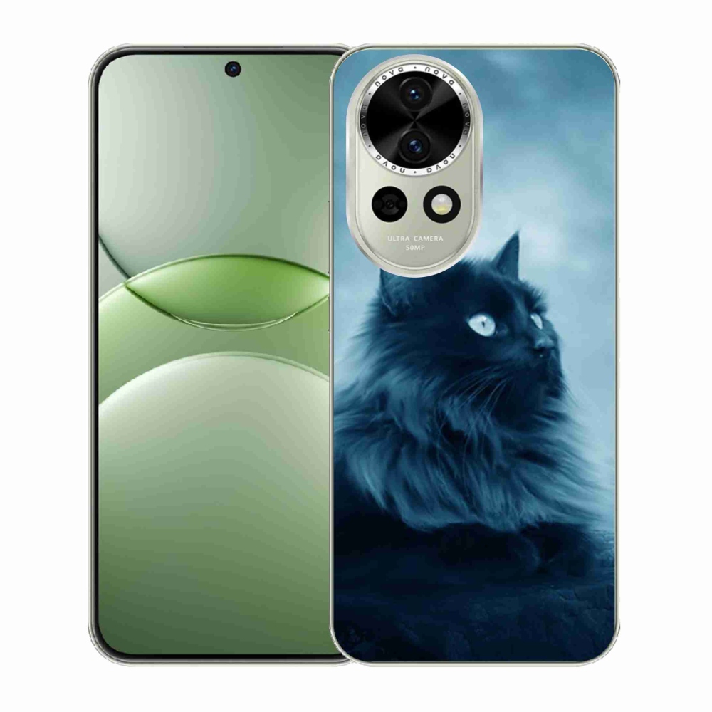 Gélový kryt mmCase na Huawei Nova 13 5G - čierna mačka 1