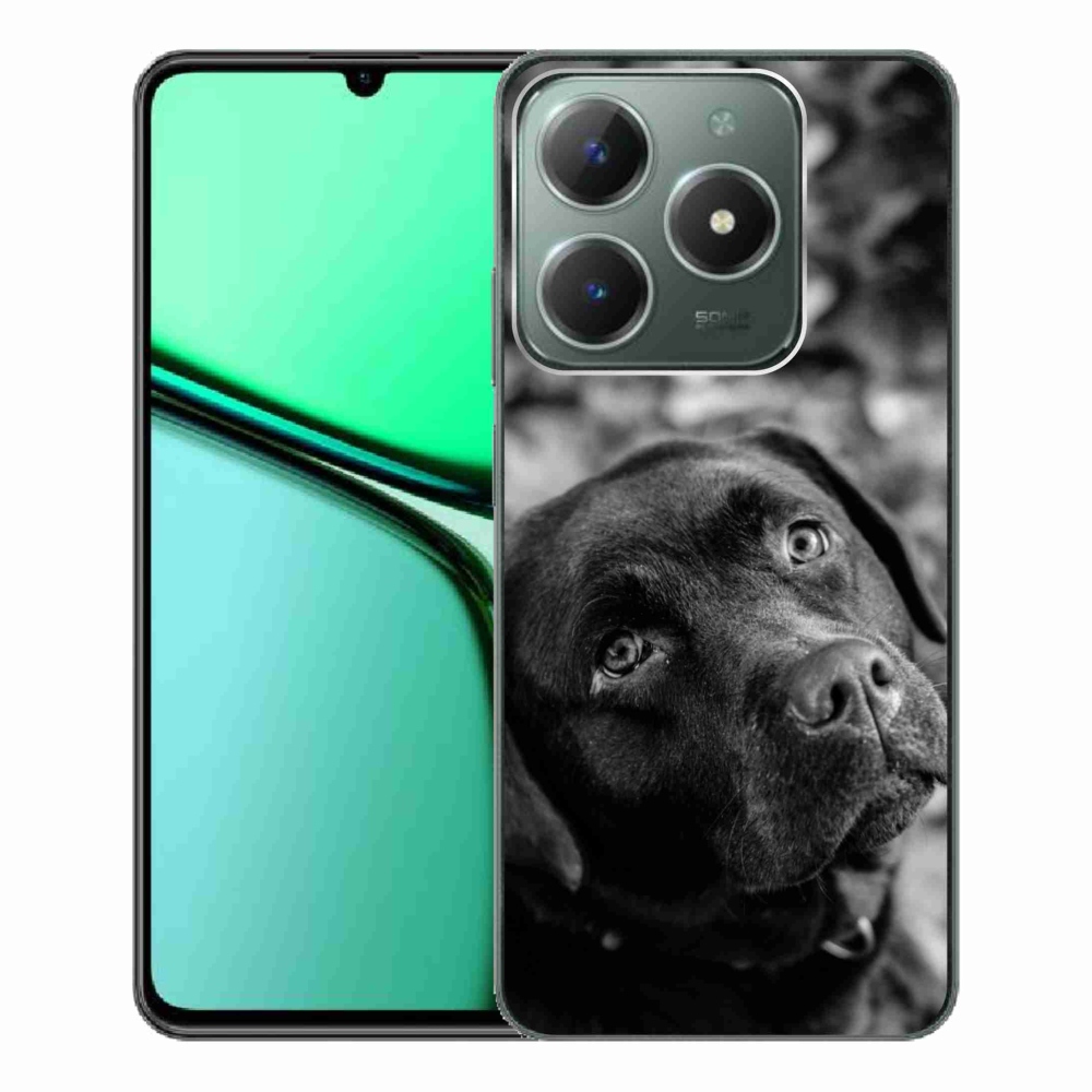 Gélový obal mmCase na Realme C61 - labrador