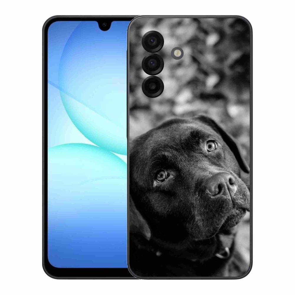 Gélový kryt mmCase na Samsung Galaxy A17 5G - labrador