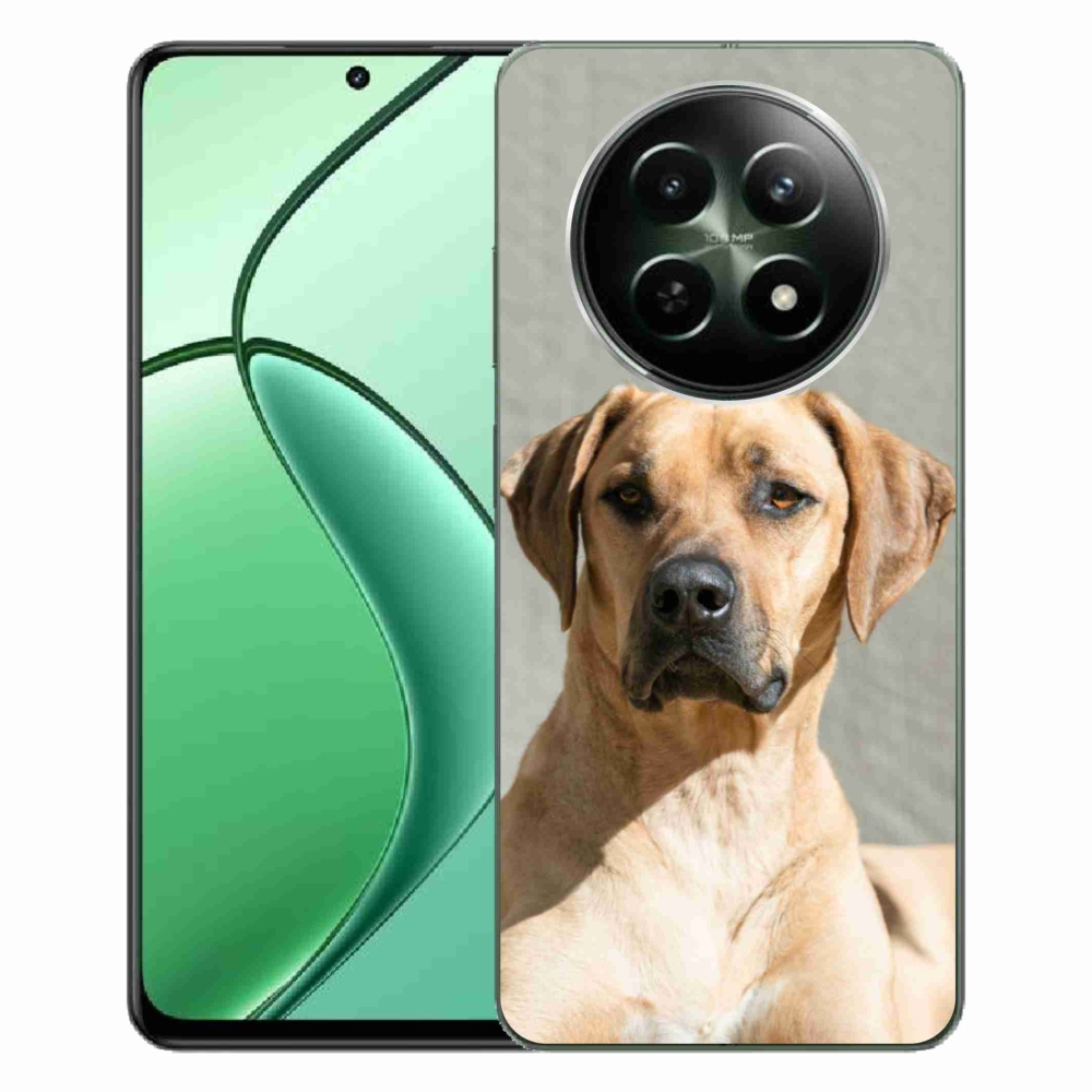 Gélový kryt mmCase na Realme 12 5G/12x 5G - ridgeback