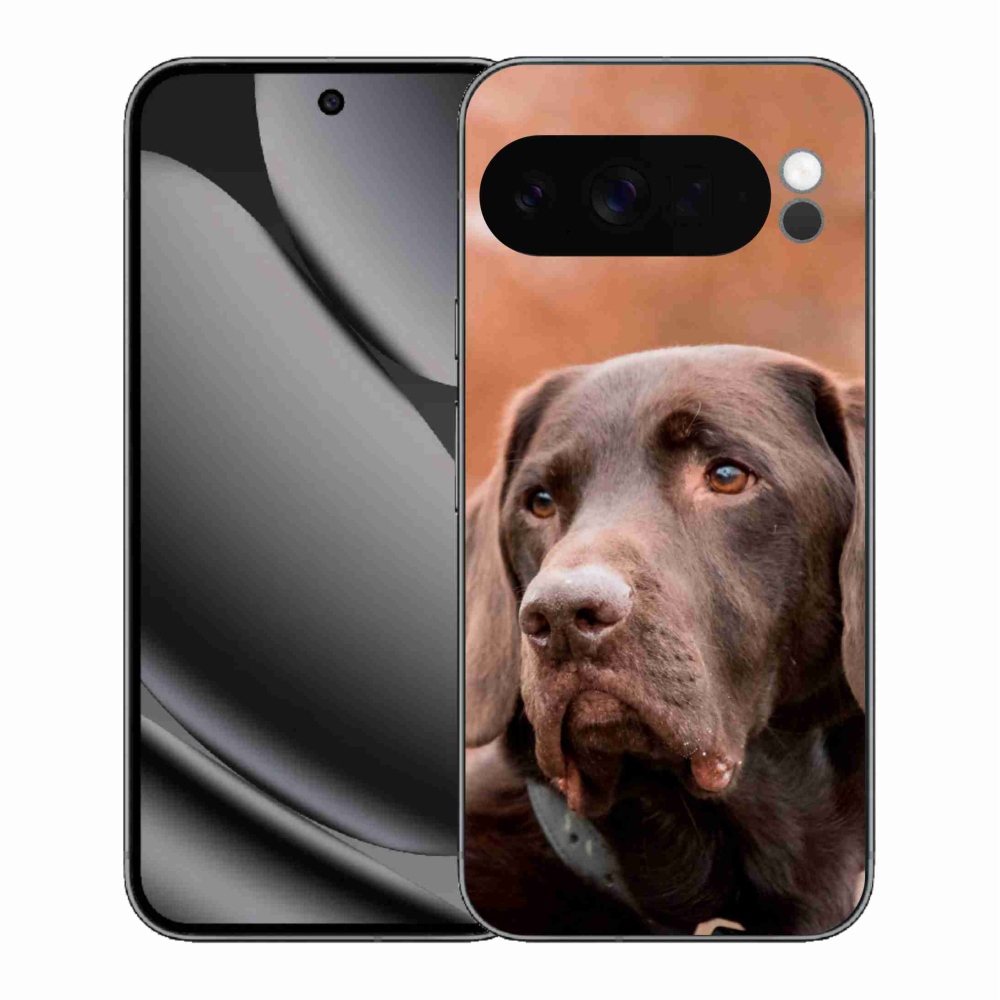 Gélový kryt mmCase na Google Pixel 10 Pro XL - hnedý labrador