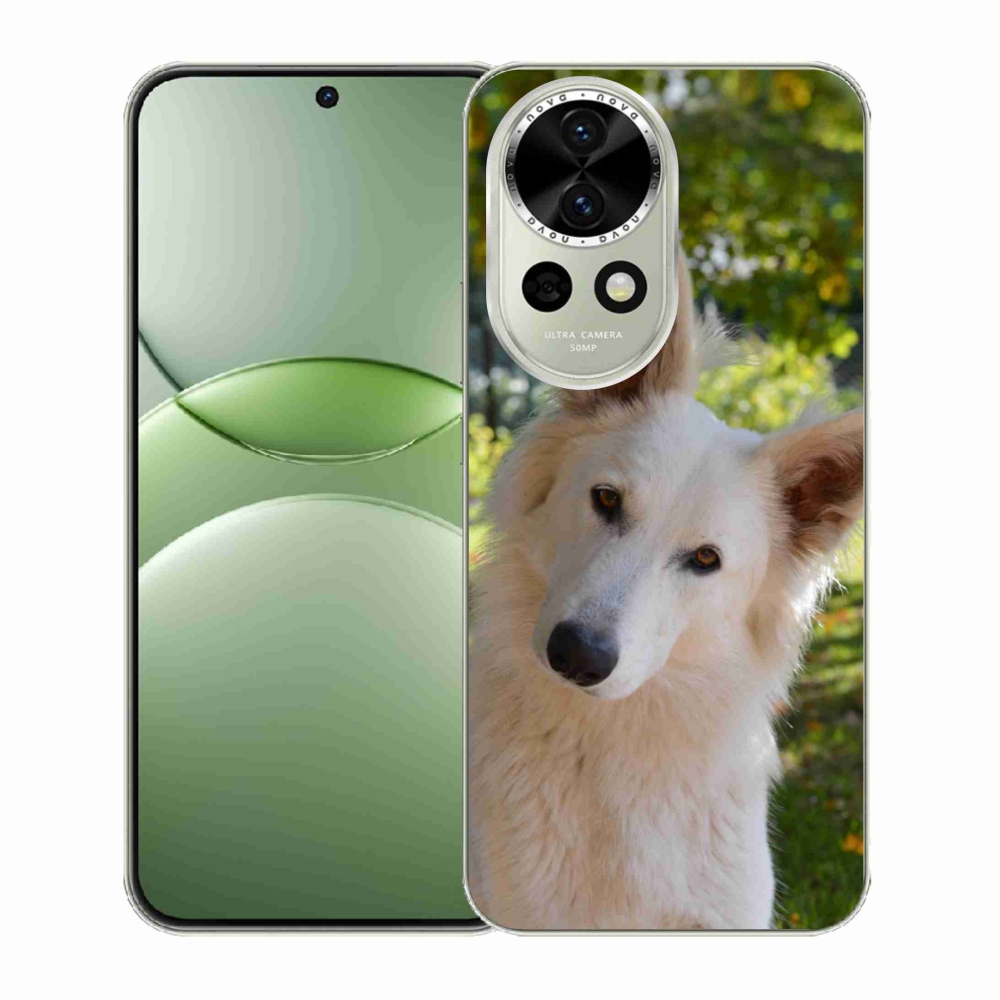 Gélový kryt mmCase na Huawei Nova 13 5G - biely švajčiarsky ovčiak 1