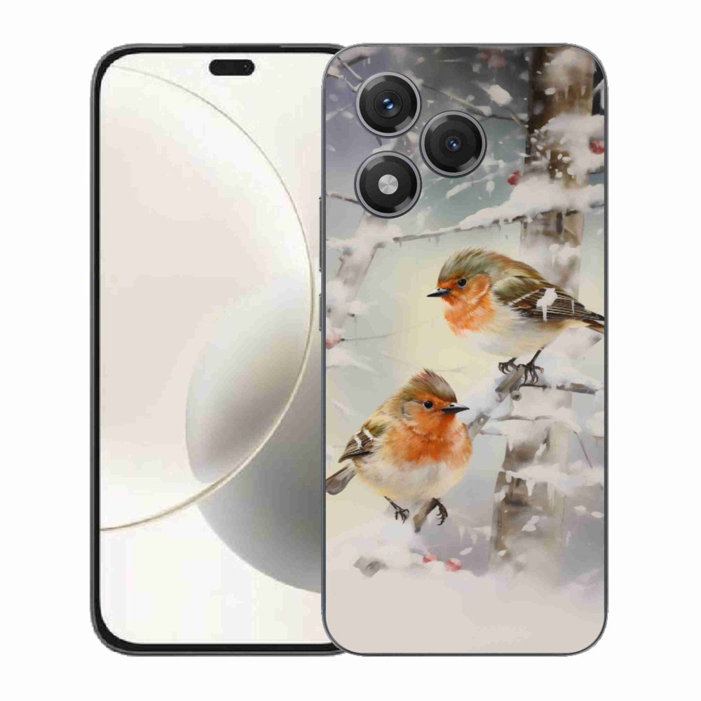 Gélový kryt mmCase na Honor 400 Lite - vtáčiky v zime