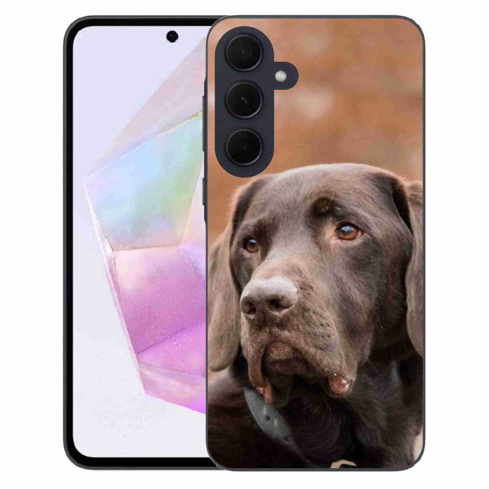 Gélový obal mmCase na Samsung Galaxy A35 5G - hnedý labrador